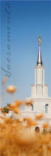 Load image into Gallery viewer, Provo Spire
