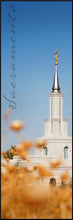 Load image into Gallery viewer, Sacramento Spire
