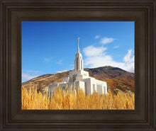 Load image into Gallery viewer, Draper Wheat Field
