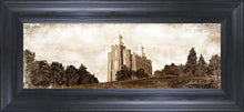 Load image into Gallery viewer, Logan Vintage
