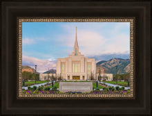 Load image into Gallery viewer, Ogden rebirth
