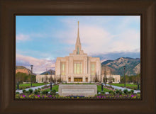 Load image into Gallery viewer, Ogden rebirth
