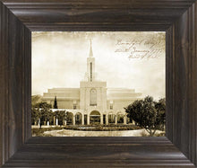 Load image into Gallery viewer, Bountiful Vintage
