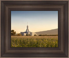 Load image into Gallery viewer, Mt Timp Harvest
