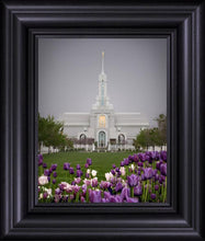 Load image into Gallery viewer, Mt Timp Tulips
