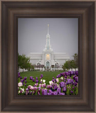 Load image into Gallery viewer, Mt Timp Tulips

