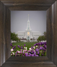 Load image into Gallery viewer, Mt Timp Tulips
