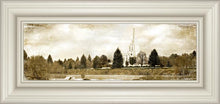Load image into Gallery viewer, Idaho Falls Vintage
