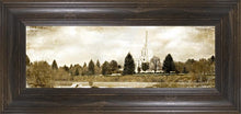 Load image into Gallery viewer, Idaho Falls Vintage
