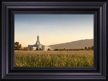 Load image into Gallery viewer, Mt Timp Harvest
