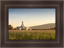 Load image into Gallery viewer, Mt Timp Harvest
