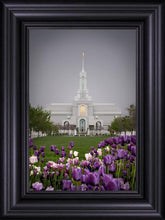 Load image into Gallery viewer, Mt Timp Tulips
