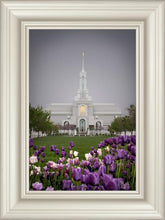 Load image into Gallery viewer, Mt Timp Tulips
