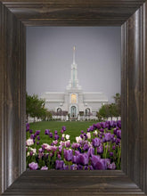 Load image into Gallery viewer, Mt Timp Tulips
