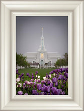 Load image into Gallery viewer, Mt Timp Tulips
