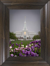 Load image into Gallery viewer, Mt Timp Tulips
