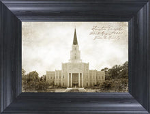 Load image into Gallery viewer, Houston Vintage
