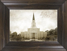 Load image into Gallery viewer, Houston Vintage
