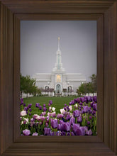 Load image into Gallery viewer, Mt Timp Tulips

