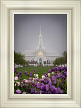 Load image into Gallery viewer, Mt Timp Tulips
