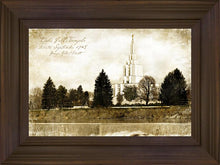 Load image into Gallery viewer, Idaho Falls Vintage
