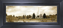 Load image into Gallery viewer, Idaho Falls Vintage
