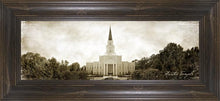 Load image into Gallery viewer, Houston Vintage
