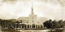 Load image into Gallery viewer, Bountiful Vintage
