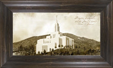 Load image into Gallery viewer, Draper Vintage
