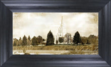 Load image into Gallery viewer, Idaho Falls Vintage
