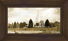 Load image into Gallery viewer, Idaho Falls Vintage
