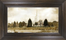 Load image into Gallery viewer, Idaho Falls Vintage
