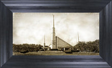 Load image into Gallery viewer, Dallas Vintage
