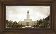 Load image into Gallery viewer, Houston Vintage
