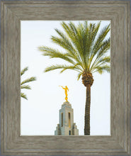 Load image into Gallery viewer, Hosanna!
