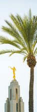 Load image into Gallery viewer, Hosanna!
