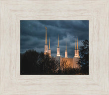 Load image into Gallery viewer, A Beacon in the Night Washington DC
