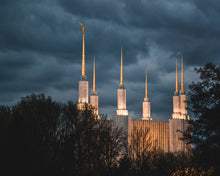 Load image into Gallery viewer, A Beacon in the Night Washington DC
