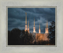 Load image into Gallery viewer, A Beacon in the Night Washington DC
