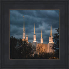 Load image into Gallery viewer, A Beacon in the Night Washington DC
