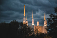 Load image into Gallery viewer, A Beacon in the Night Washington DC
