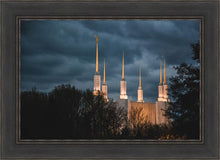 Load image into Gallery viewer, A Beacon in the Night Washington DC
