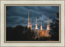 Load image into Gallery viewer, A Beacon in the Night Washington DC
