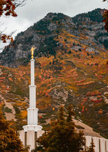 Load image into Gallery viewer, Love Unchanging Provo Temple
