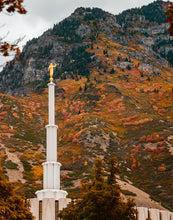Load image into Gallery viewer, Love Unchanging Provo Temple
