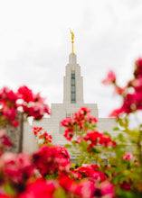 Load image into Gallery viewer, Made Whole Again Draper Temple
