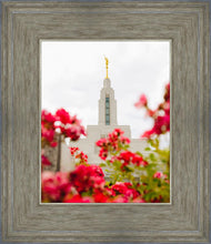 Load image into Gallery viewer, Made Whole Again Draper Temple
