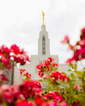 Load image into Gallery viewer, Made Whole Again Draper Temple
