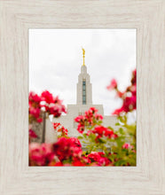 Load image into Gallery viewer, Made Whole Again Draper Temple
