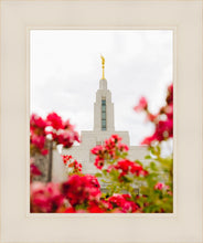 Load image into Gallery viewer, Made Whole Again Draper Temple
